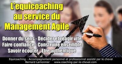 L'equicoaching au service du Management Agile