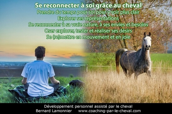 Se reconnecter à soi grâce au cheval